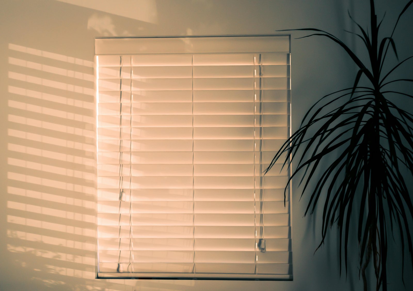 Curtain Image